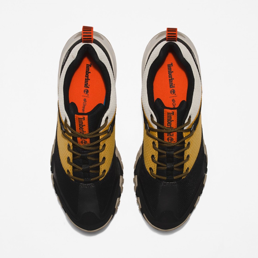 Black Mesh/Wheat Timberland Ireland Men's Trailquest Hiking Shoes