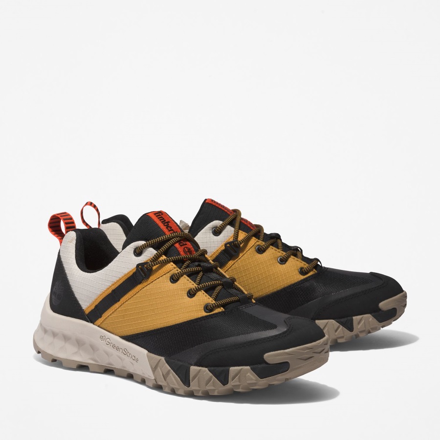 Black Mesh/Wheat Timberland Ireland Men's Trailquest Hiking Shoes