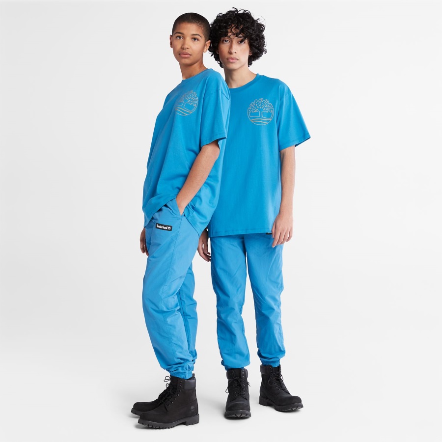 Bright Blue Graphic-Logo T-Shirt Timberland Ireland