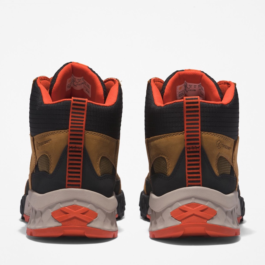 Brown Nubuck/Olive/Tan Timberland Ireland Men's Trailquest Wateproof Hiking Boots