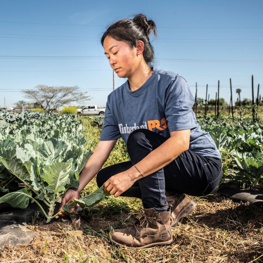 Dark Brown Full-Grain Timberland Ireland Women's Hightower 6 Alloy Toe Waterproof Work Boot