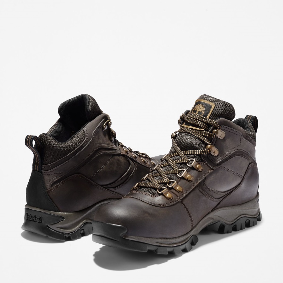 Dark Brown Men's Mt Maddsen Waterproof Hiking Boots Timberland Ireland