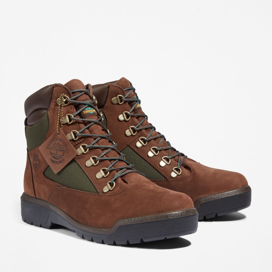 Dark Brown Nubuck Timberland Ireland Men's 6-Inch Waterproof Field Boots