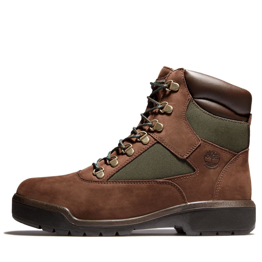 Dark Brown Nubuck Timberland Ireland Men's 6-Inch Waterproof Field Boots