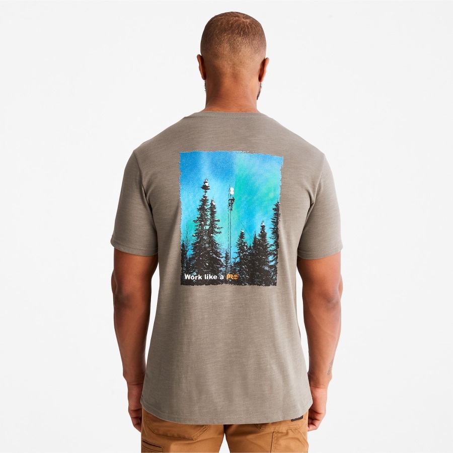 Gargoyle Men's Pro Base Plate Hw Northern Lights Graphic T-Shirt Timberland Ireland
