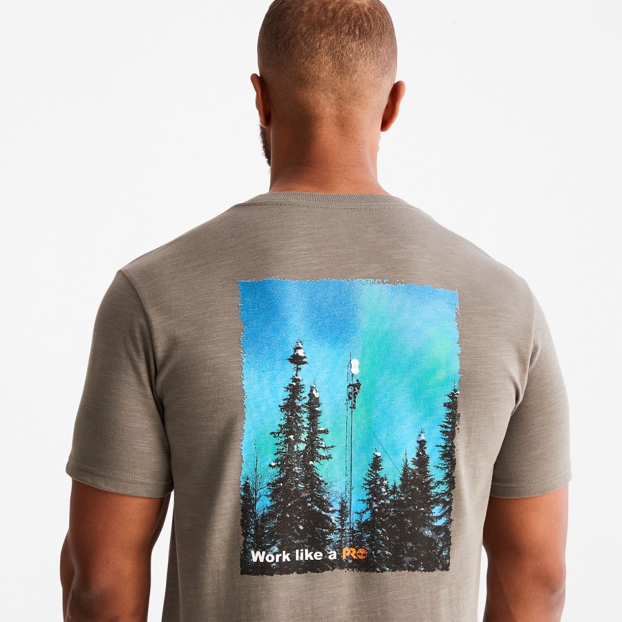 Gargoyle Men's Pro Base Plate Hw Northern Lights Graphic T-Shirt Timberland Ireland