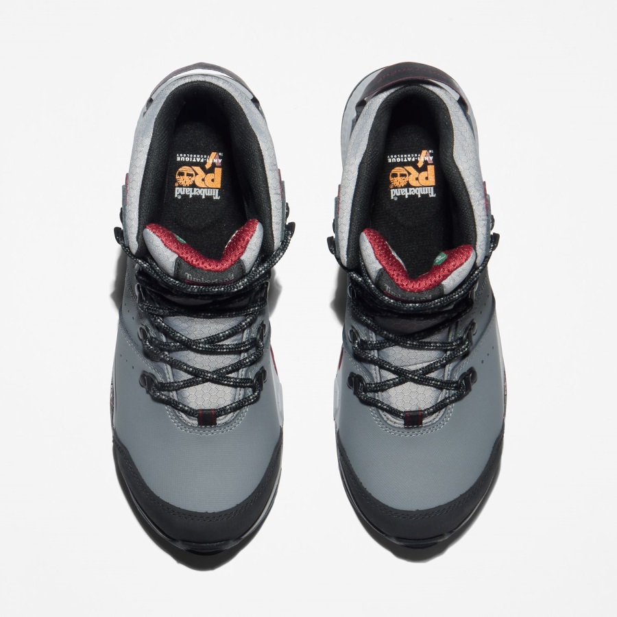 Grey/Purple Timberland Ireland Women's Switchback Waterproof Composite Safety-Toe Work Boots