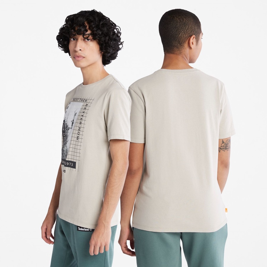 Heavyweight Front-Graphic T-Shirt Taupe Timberland Ireland