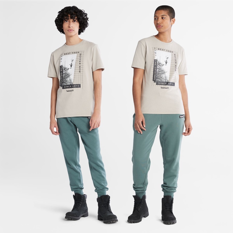 Heavyweight Front-Graphic T-Shirt Taupe Timberland Ireland