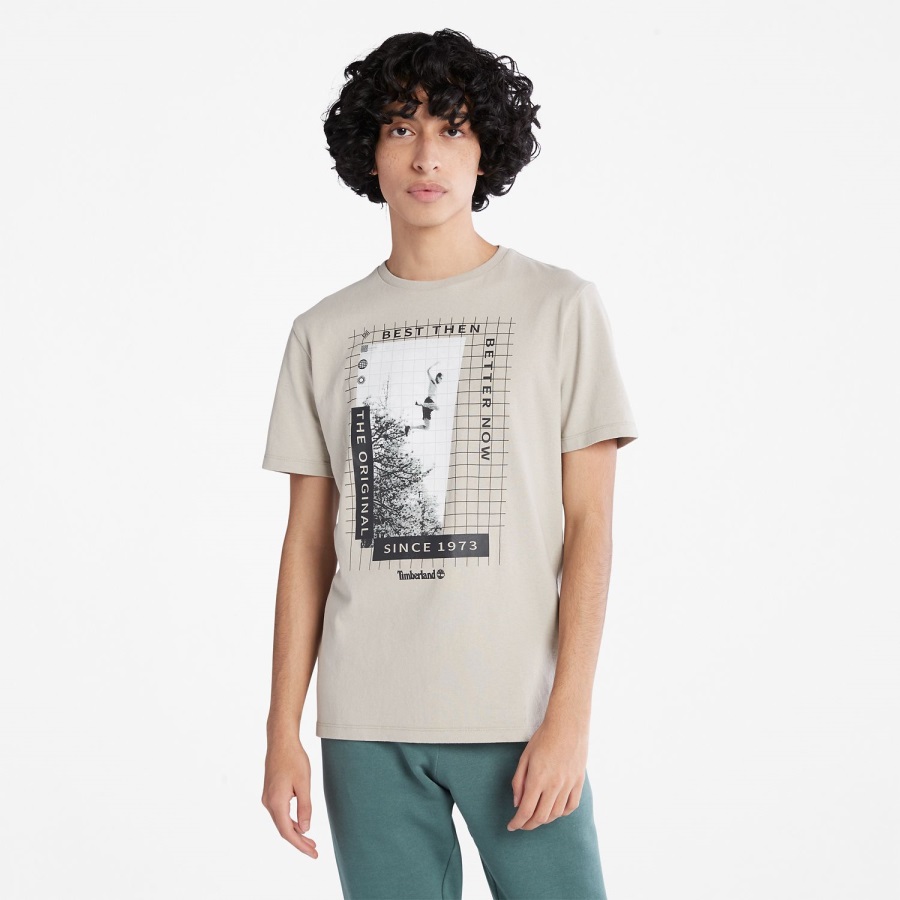 Heavyweight Front-Graphic T-Shirt Taupe Timberland Ireland