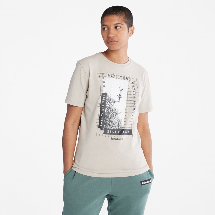 Heavyweight Front-Graphic T-Shirt Taupe Timberland Ireland