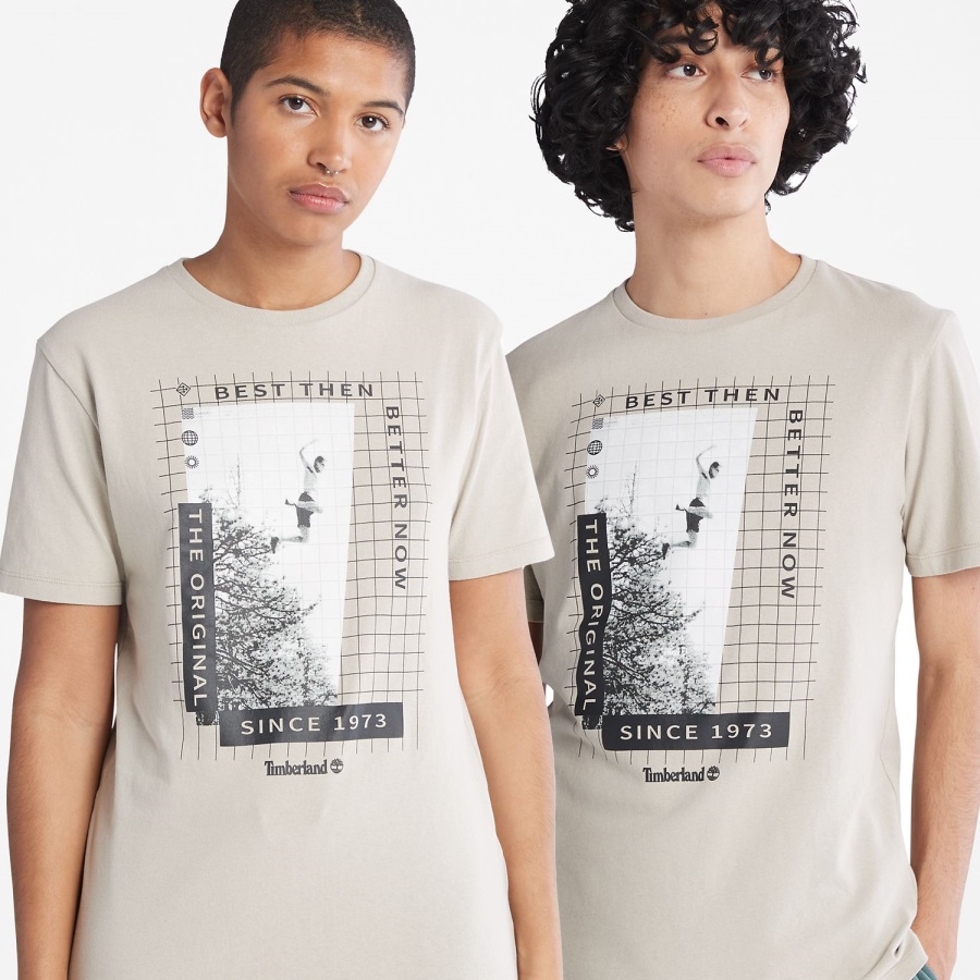 Heavyweight Front-Graphic T-Shirt Taupe Timberland Ireland