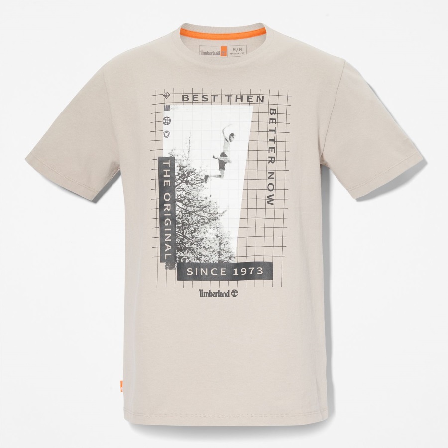 Heavyweight Front-Graphic T-Shirt Taupe Timberland Ireland