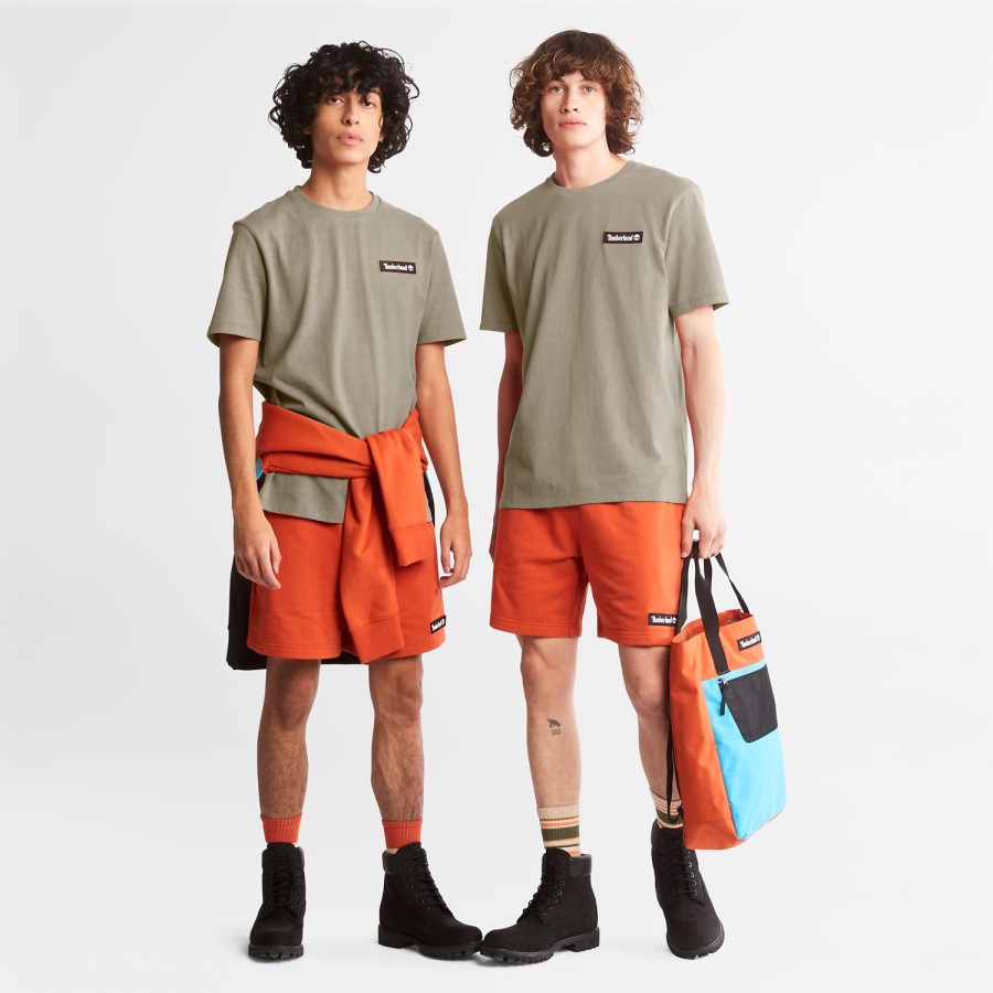 Heavyweight Logo T-Shirt Taupe Timberland Ireland