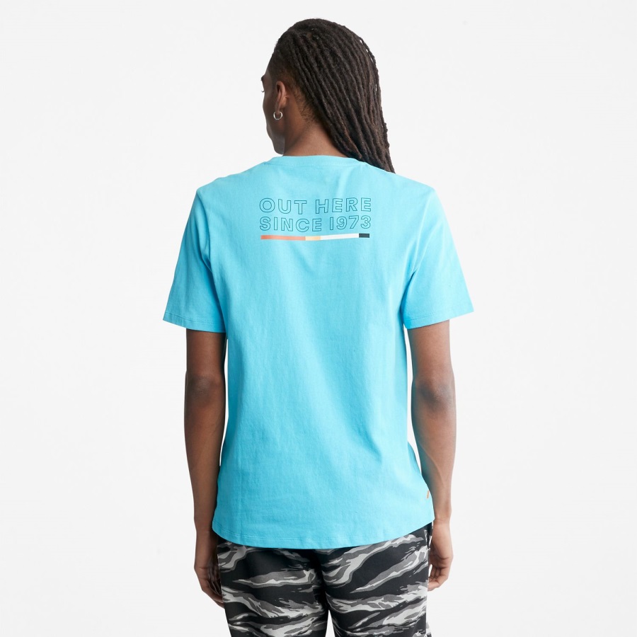 Horizon Blue Timberland Ireland Men's Organic Cotton T-Shirt