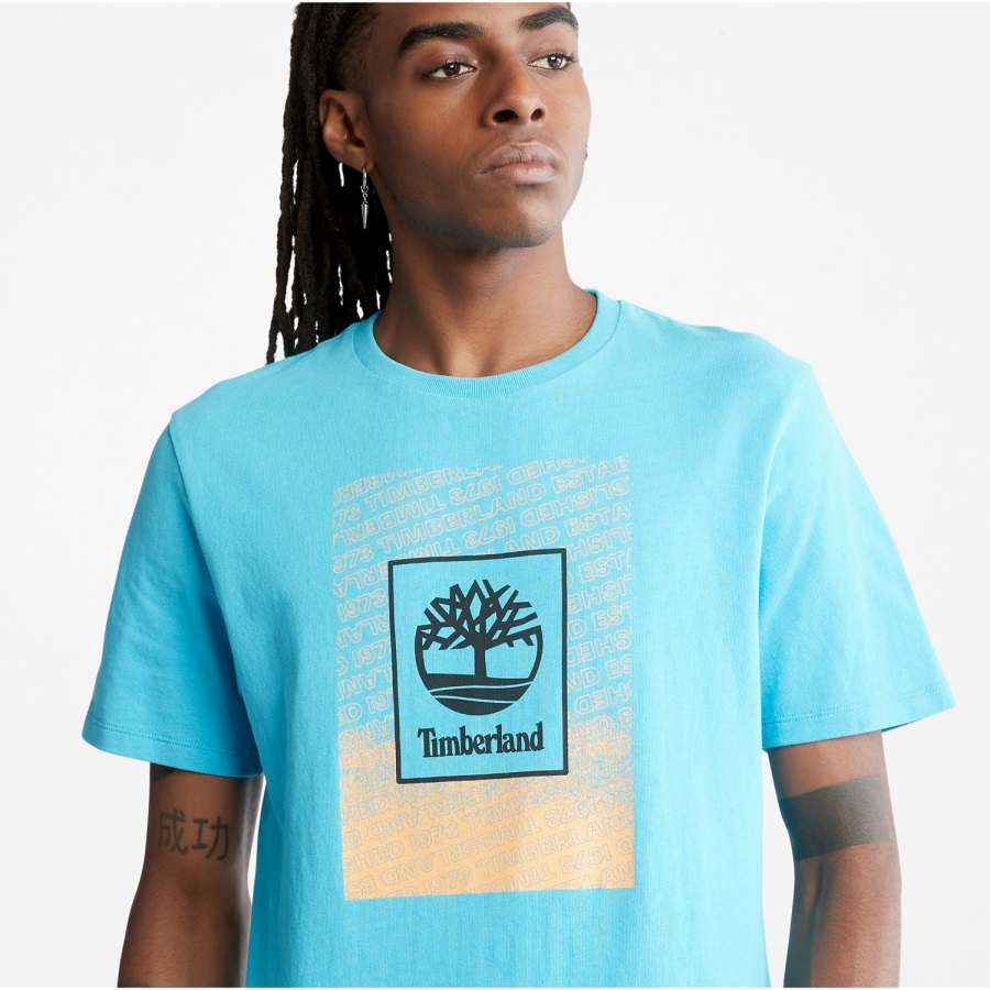 Horizon Blue Timberland Ireland Men's Organic Cotton T-Shirt