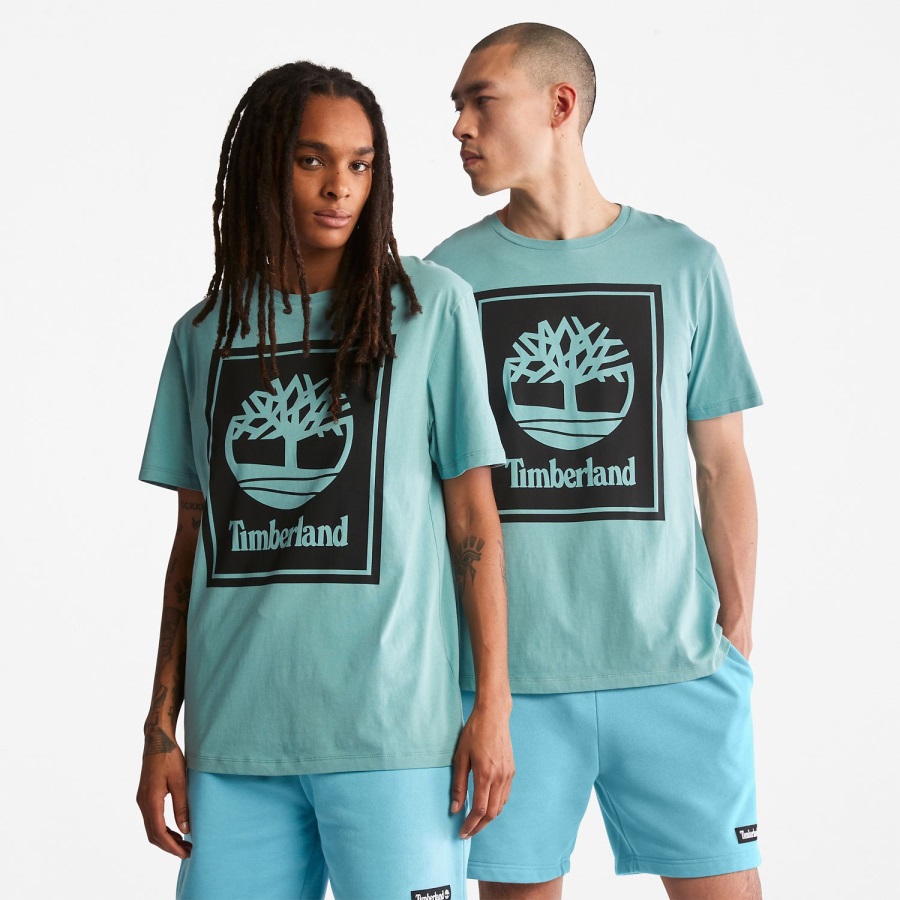 Logo T-Shirt Timberland Ireland Mineral Blue/Black