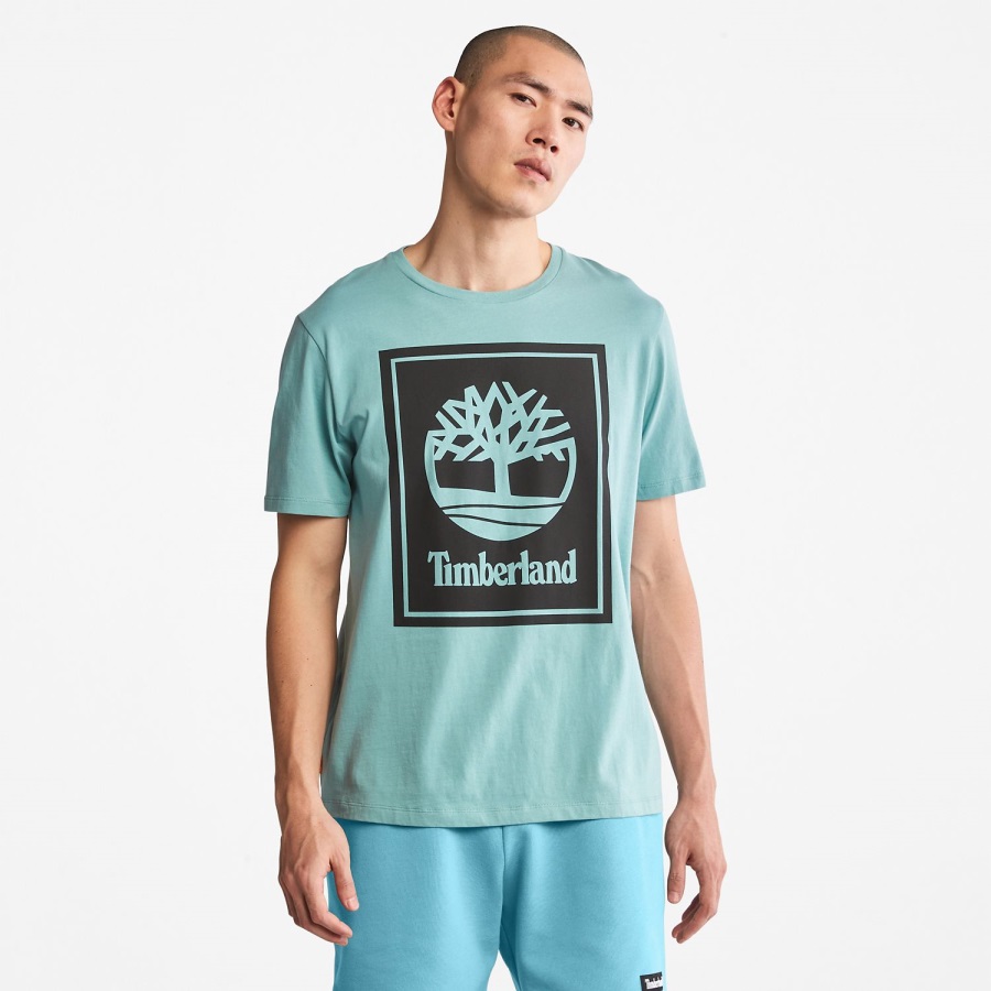 Logo T-Shirt Timberland Ireland Mineral Blue/Black