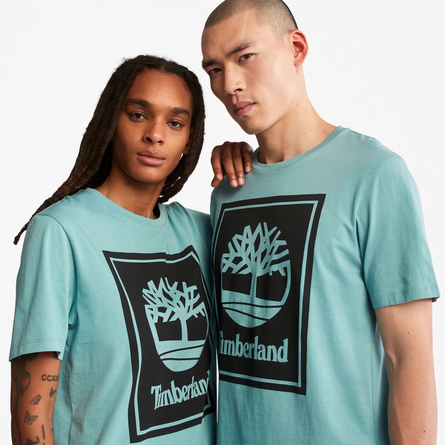 Logo T-Shirt Timberland Ireland Mineral Blue/Black