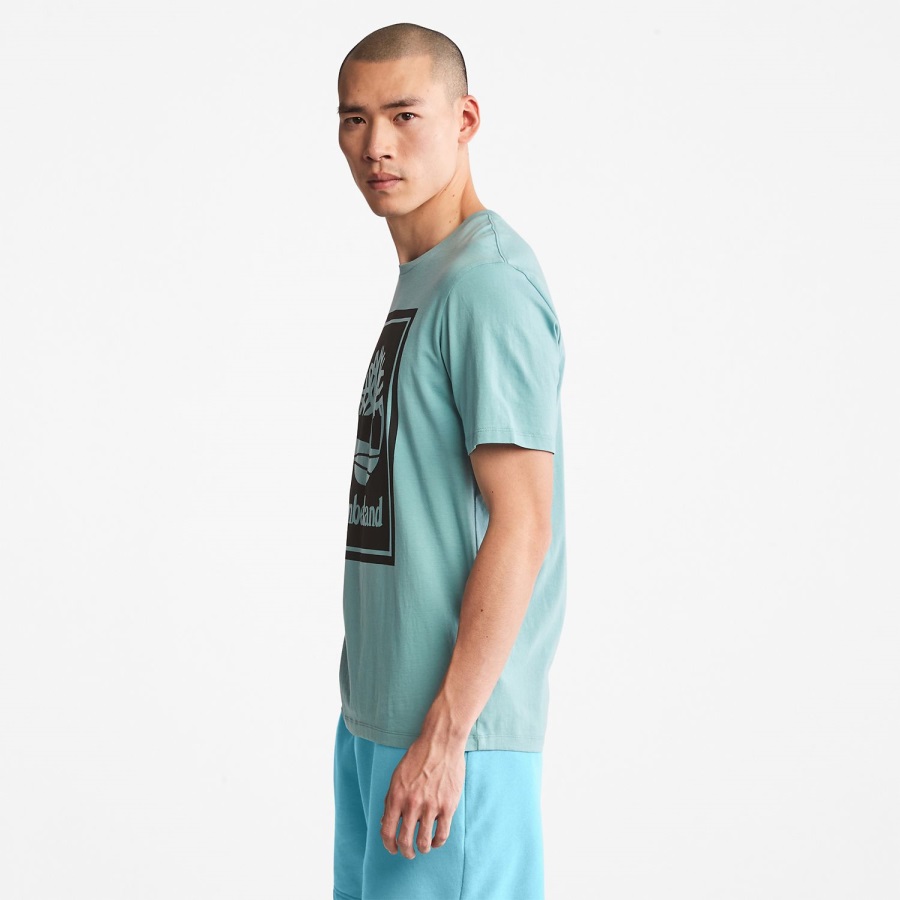 Logo T-Shirt Timberland Ireland Mineral Blue/Black