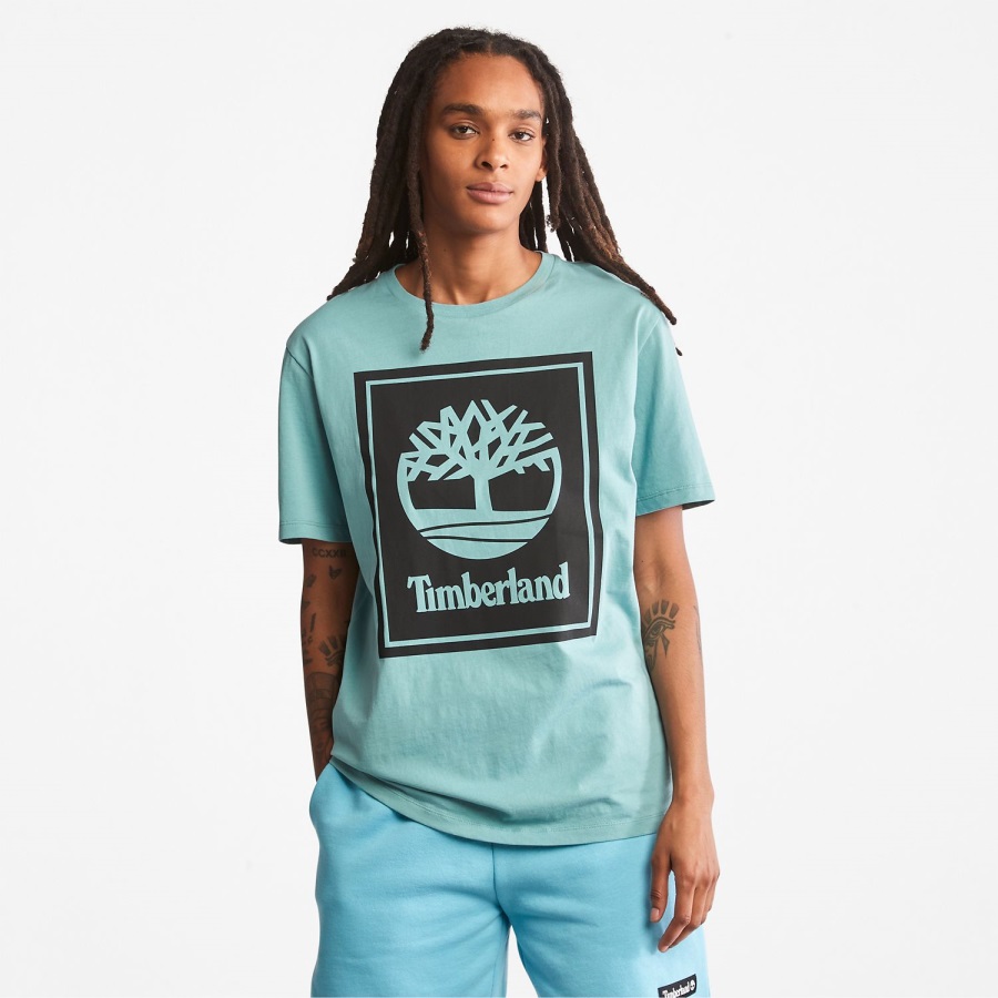 Logo T-Shirt Timberland Ireland Mineral Blue