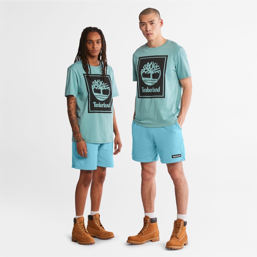 Logo T-Shirt Timberland Ireland Mineral Blue