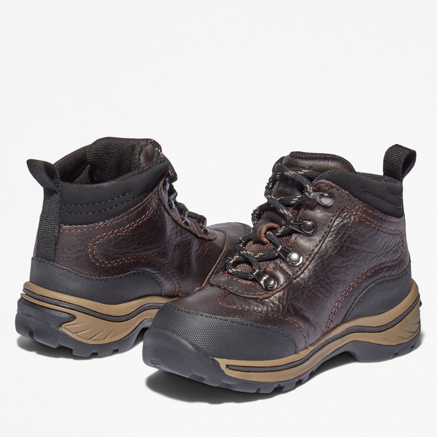 Medium Brown Full-Grain Toddler Waterproof Hiking Boots Timberland Ireland