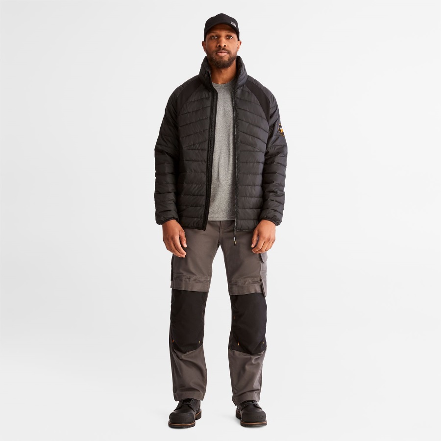 Men's Frostwall Insulated Jacket Timberland Ireland