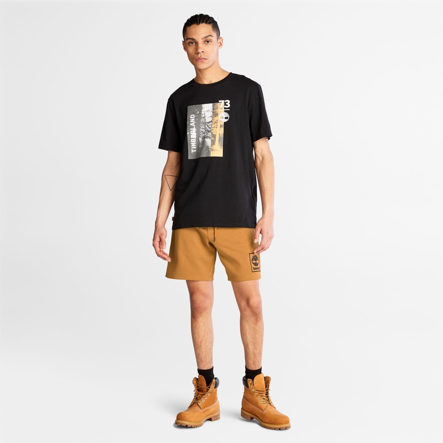 Men's Sweatshorts Timberland Ireland Wheat