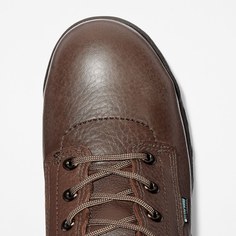 Men's Titan 6 Alloy Toe Waterproof Work Boot Dark Mocha Full-Grain Timberland Ireland