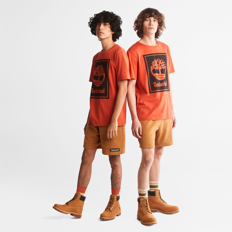 Orange/Black Logo T-Shirt Timberland Ireland
