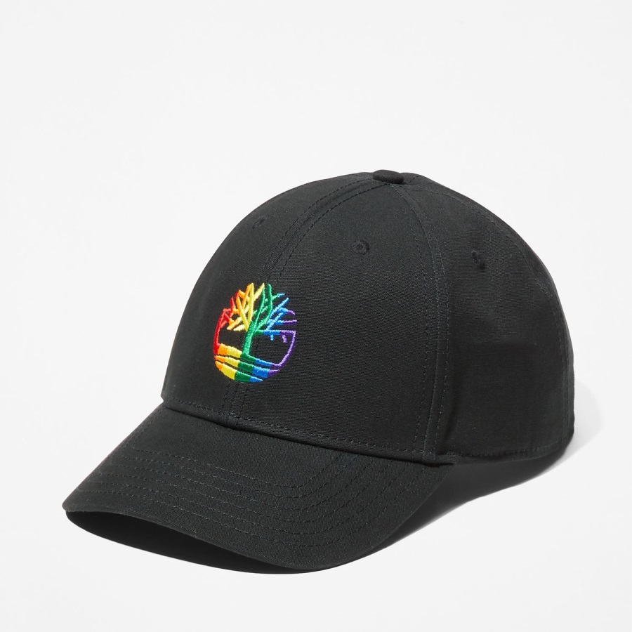 Rainbow Logo Baseball Cap Timberland Ireland