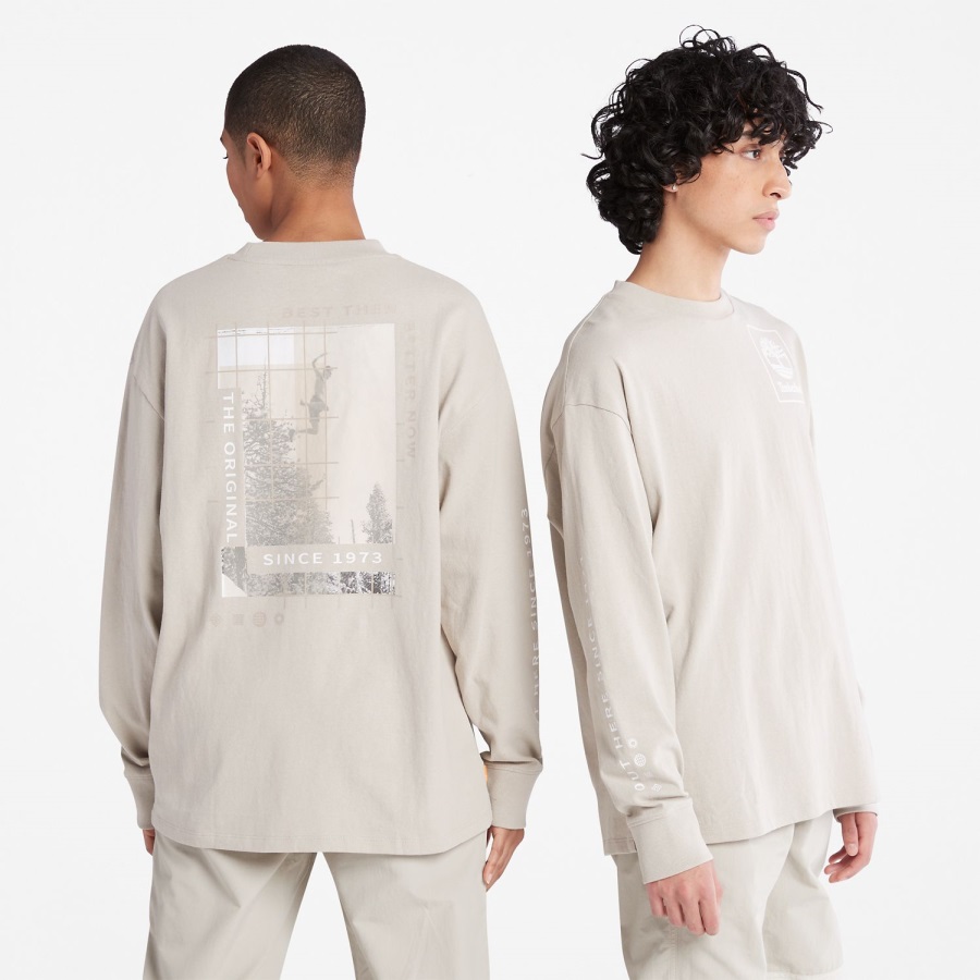 Taupe Heavyweight Back-Graphic Long-Sleeve T-Shirt Timberland Ireland