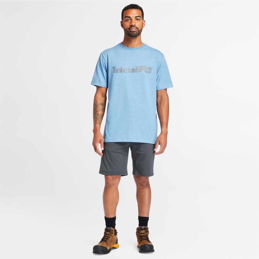 Timberland Ireland Asphalt Men's Pro Tempe Shorts