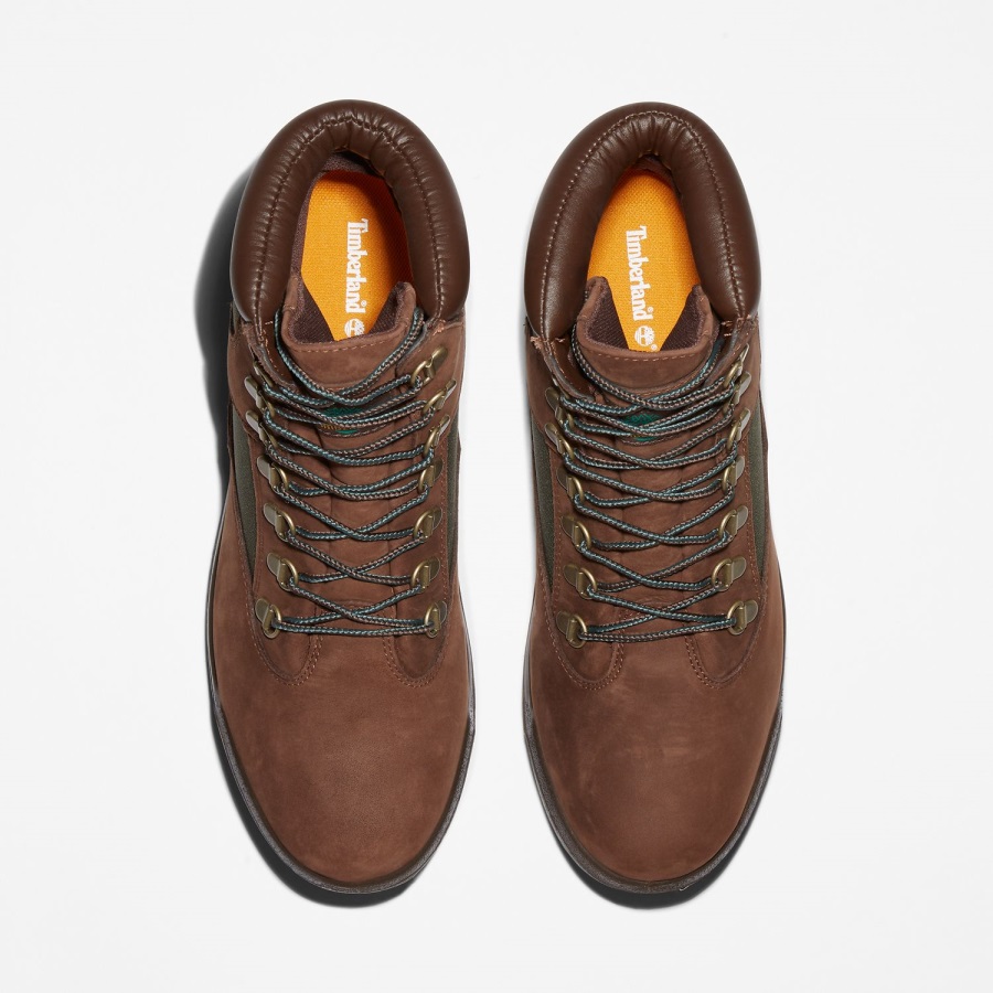 Timberland Ireland Dark Brown Nubuck Men's 6-Inch Waterproof Field Boots