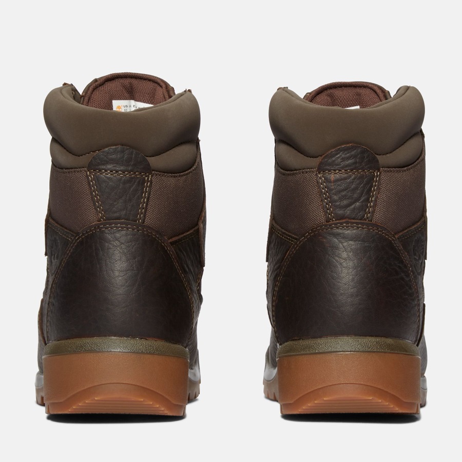 Timberland Ireland Men's 6-Inch Waterproof Field Boots Dark Brown Full-Grain