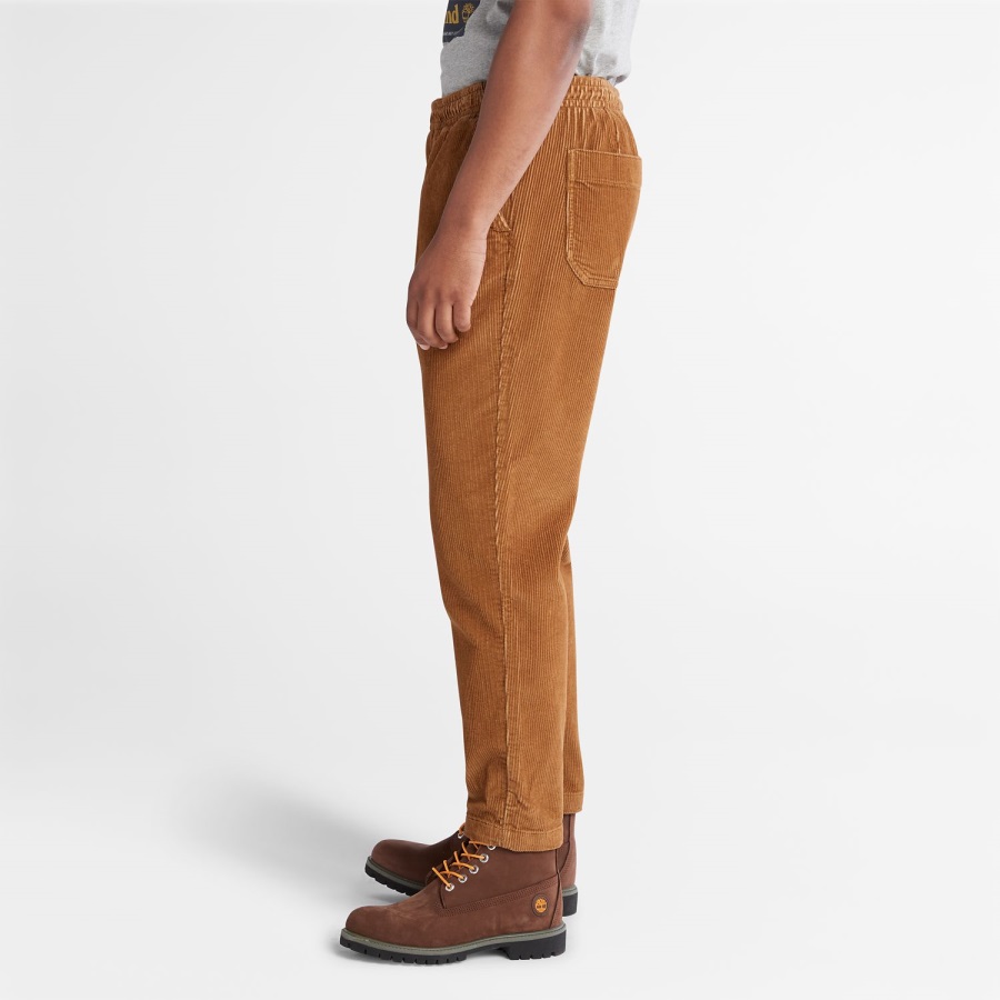Timberland Ireland Men's Corduroy Jogger Pants Brown