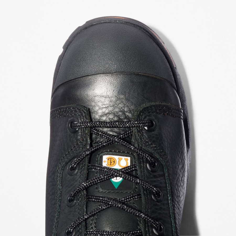 Timberland Ireland Men's Pro Endurance 6 Steel Toe Waterproof Work Boot Black Full-Grain