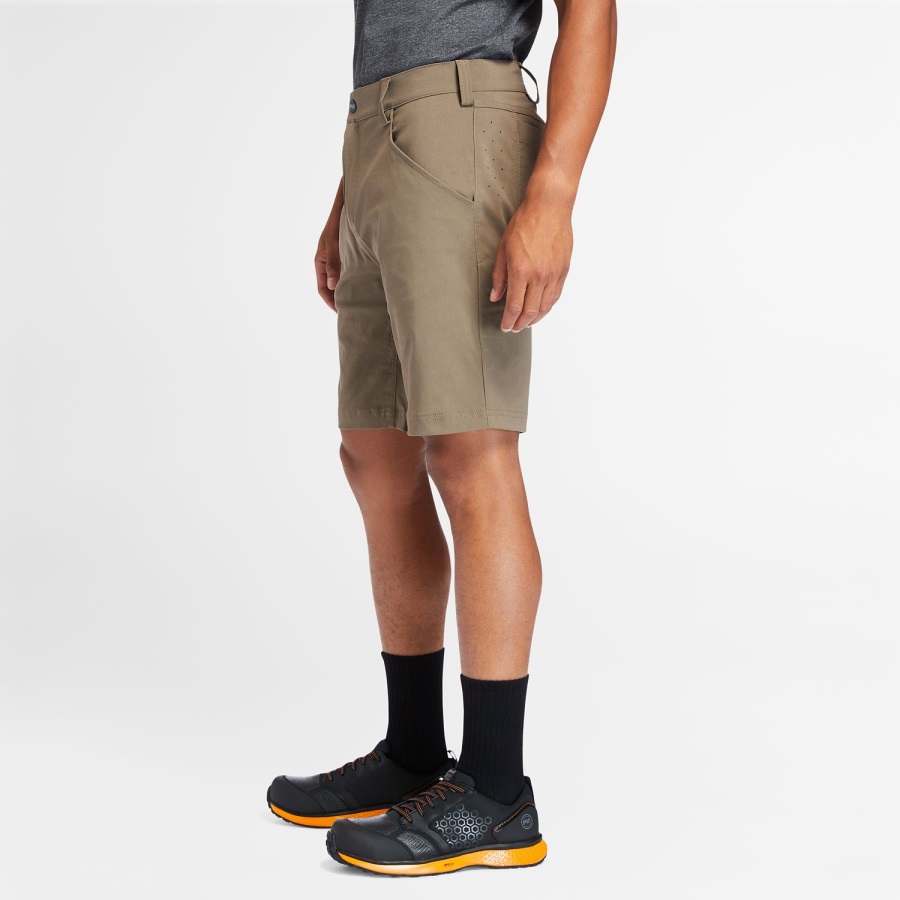 Timberland Ireland Men's Pro Tempe Shorts Bison PRO