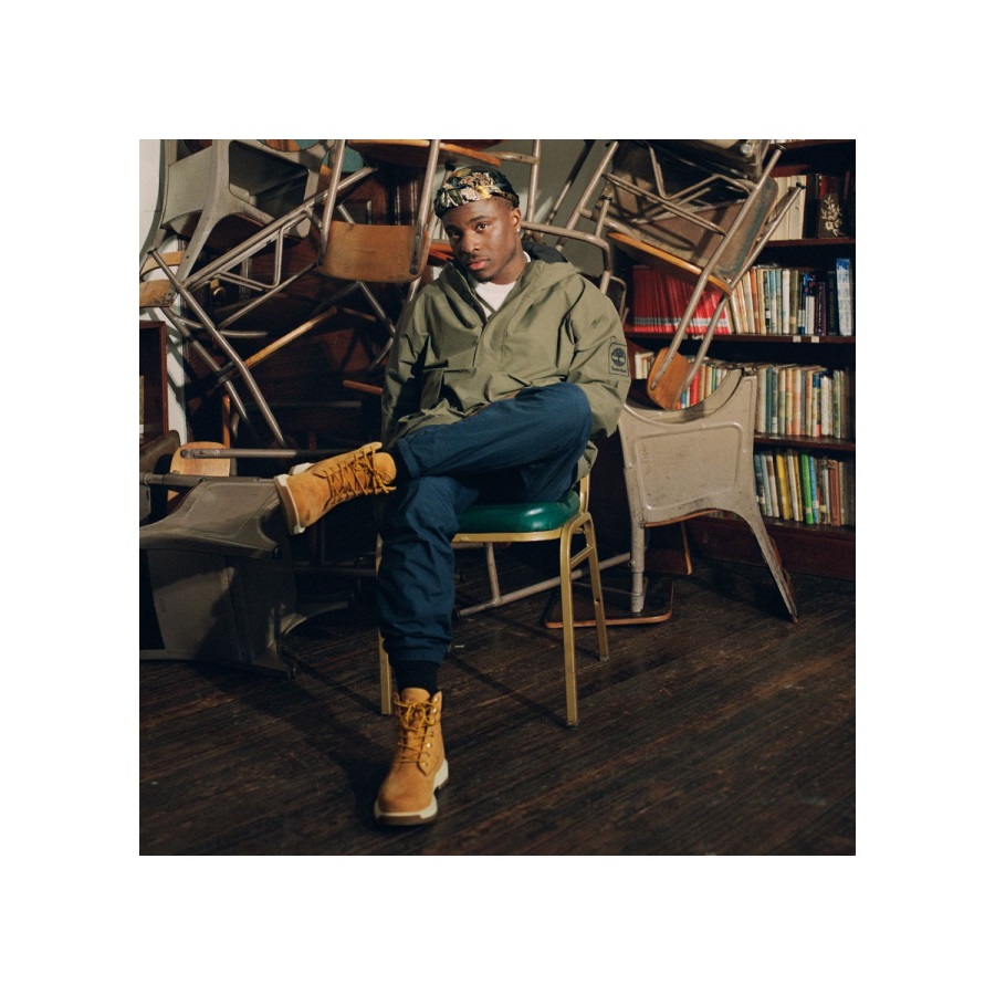 Timberland Ireland Men's Tree Vault 6-Inch Waterproof Boots