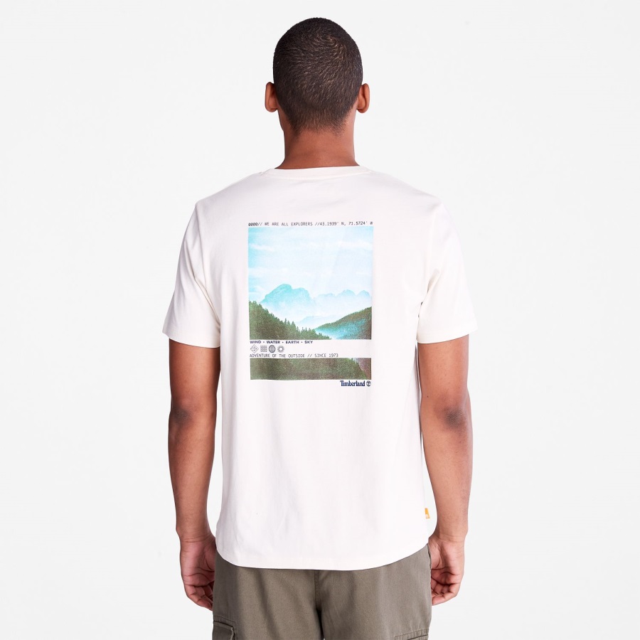 Timberland Ireland Undyed Men's Photographic T-Shirt