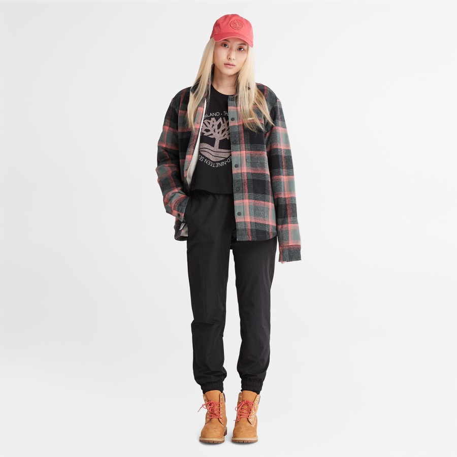 Timberland Ireland Women's Cropped Logo T-Shirt Black