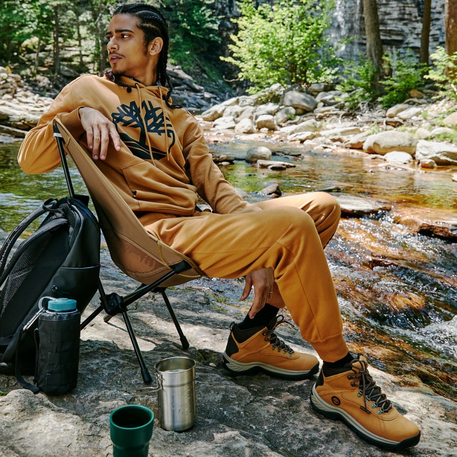 Tree-Logo Hoodie Wheat/Black Timberland Ireland