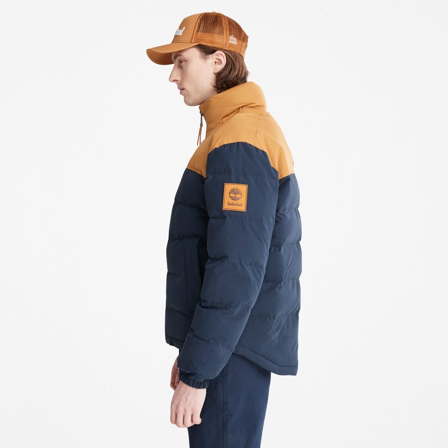 Wheat/Dark Navy Men's Welch Mountain Puffer Jacket Timberland Ireland