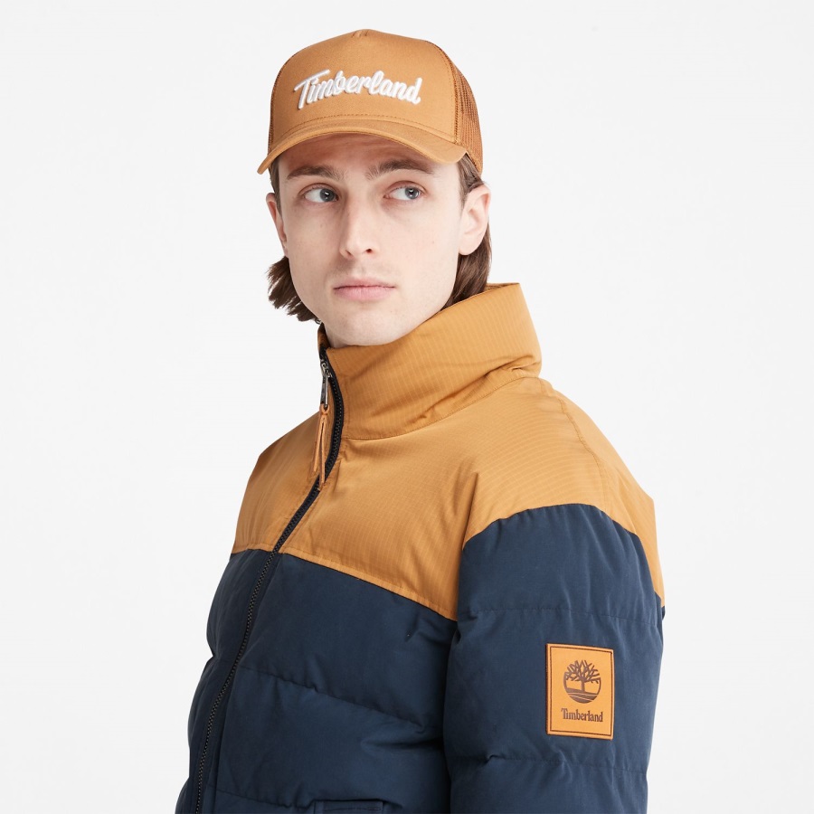 Wheat/Dark Navy Men's Welch Mountain Puffer Jacket Timberland Ireland