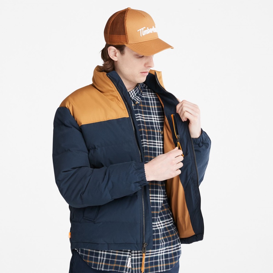 Wheat/Dark Navy Men's Welch Mountain Puffer Jacket Timberland Ireland