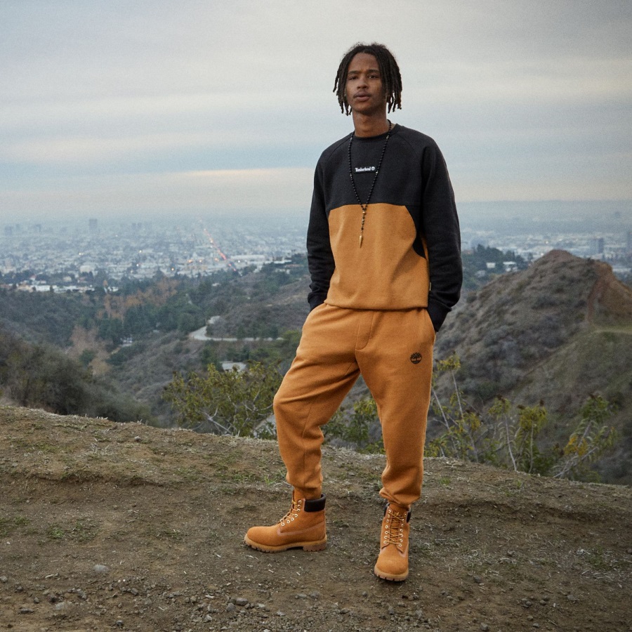 Wheat Nubuck Timberland Ireland Men's Premium 6-Inch Waterproof Boots