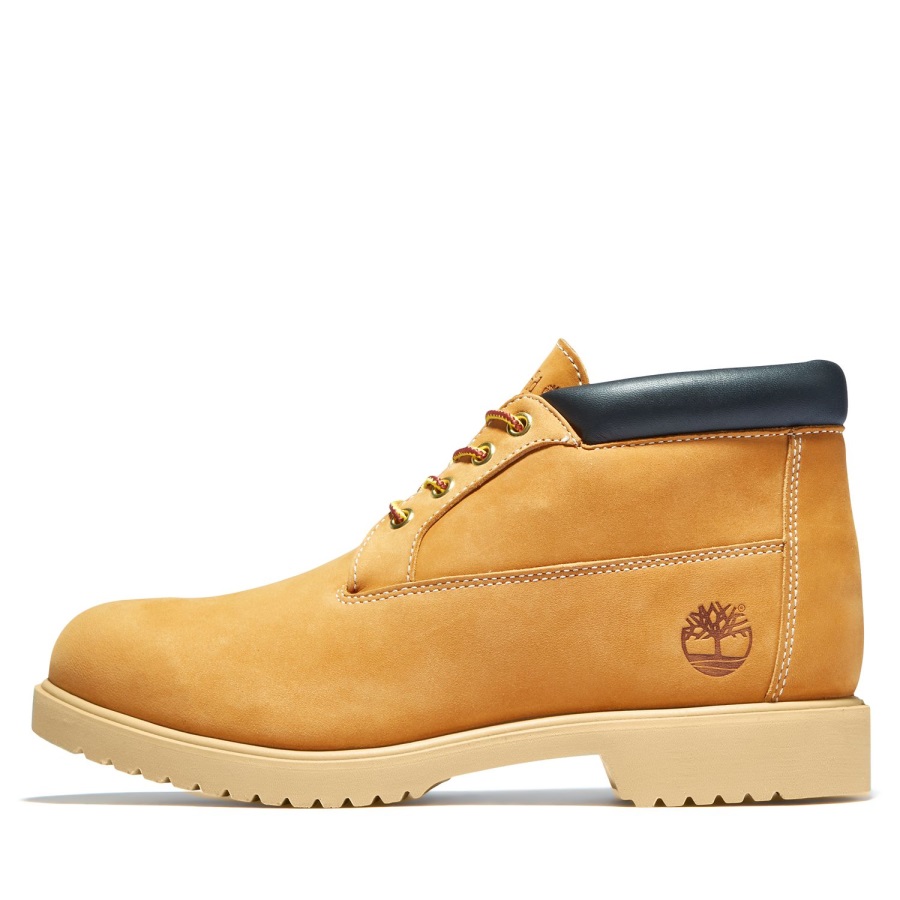 Wheat Nubuck Timberland Ireland Men's Tbl 1973 Newman Waterproof Chukka Boots