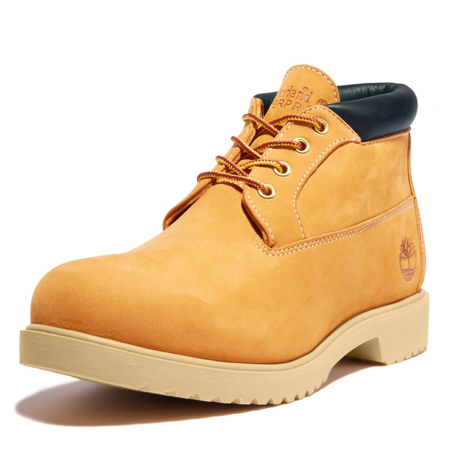 Wheat Nubuck Timberland Ireland Men's Tbl 1973 Newman Waterproof Chukka Boots