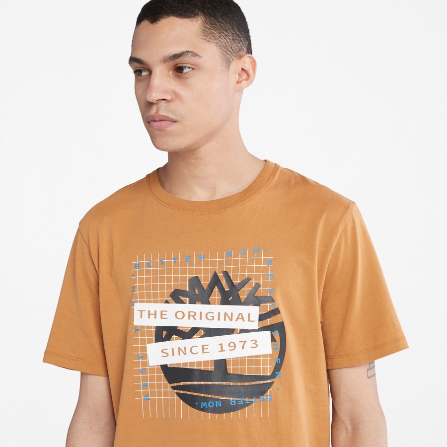Wheat Timberland Ireland Men's Front-Graphic T-Shirt
